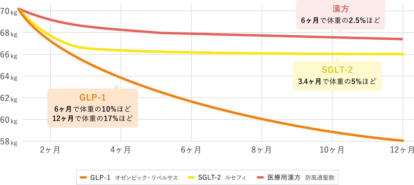 体重減少効果のイメージグラフ / 漢方: 6ヶ月で体重の2.5%ほど減少 / SGLT-2 3.4ヶ月で体重の5%ほど減少 / GLP-1: 6ヶ月で体重の10%ほど減少 / 12ヶ月で体重の17%ほど減少