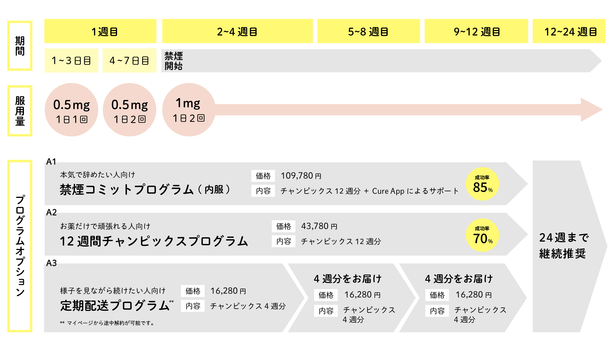 禁煙コミットプログラム | 12週間チャンピックスプログラム | 2週間お試しプラン＋お試し後継続プラン